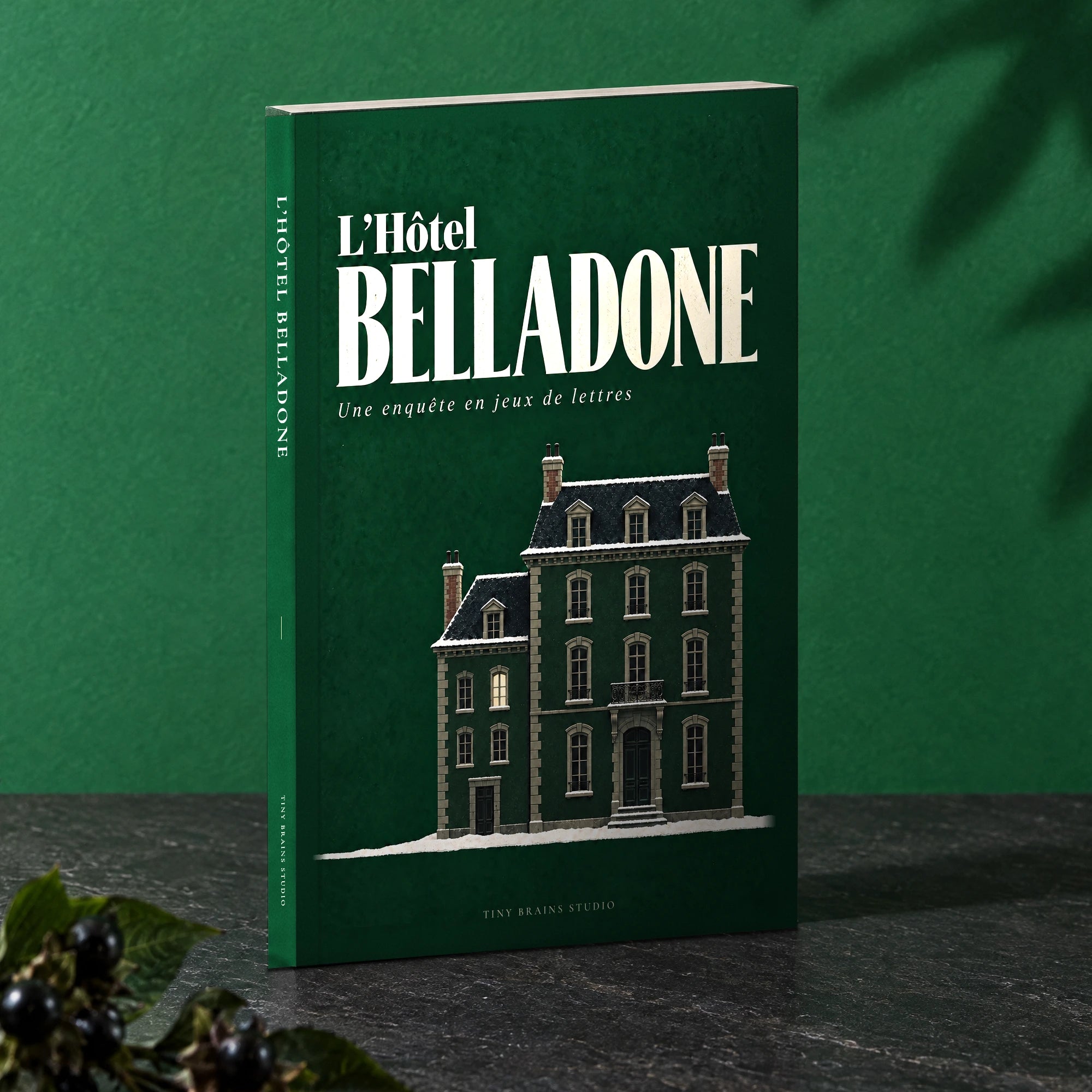 Couverture du livre L'Hotel Belladone, vert emeraude, illustration d'une maison isolee sous la neige